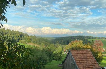 Gemütliches Doppelzimmer mit Balkon und Saunaoption Nordschwarzwald - Foto 4