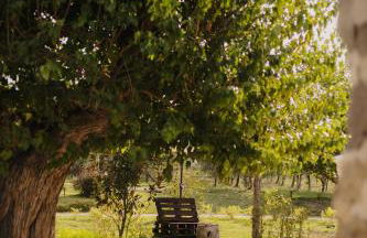 Arcadia Agriturismo - Foto 6