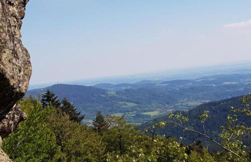 Ferienhaus Klingenbrunn - Foto 48