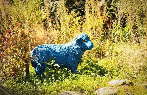 Urlaubsloft AUGUST'S Schatzkiste - Photo 31