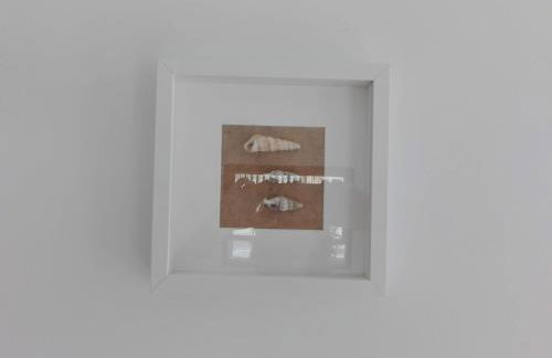 Sa Cala Beach House - Foto 50