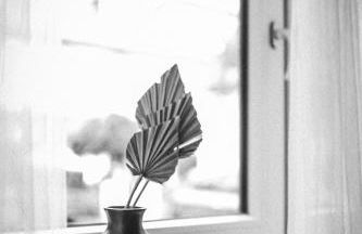 Ferienwohnungen Marcushof - Foto 43