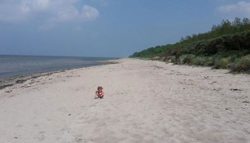 Am Pool und Strand 7 neu - Photo 2