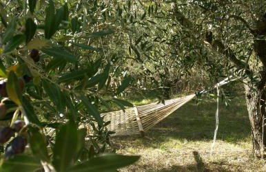 Villa Emma-Toscanaparadiso - Foto 39