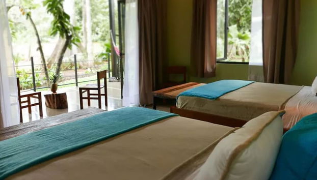 Vistas desde la habitación