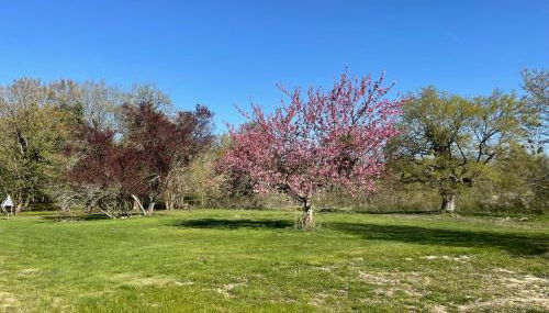 Gite balnéo - Photo 4