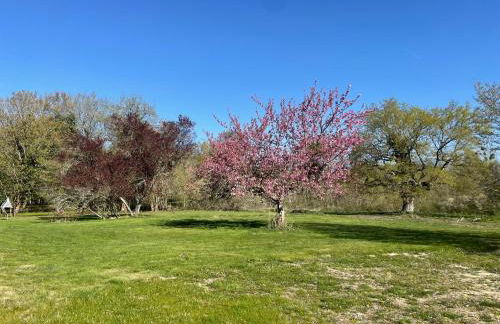 Gite balnéo - Photo 4