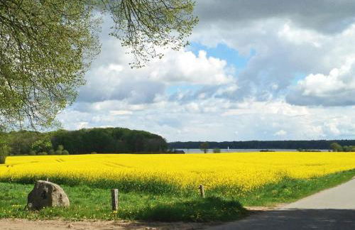 Schleiglanz - Foto 23