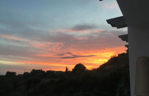 Algarrobo Azul - Foto 22