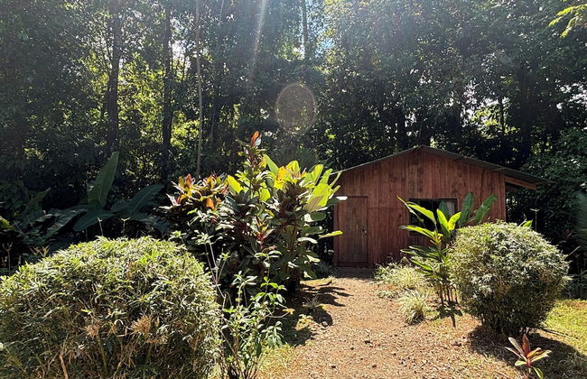 Citronela Lodge Corcovado - Foto 24