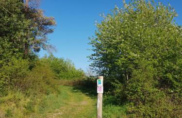 Ferienapartment im Augustinus Park - Foto 13