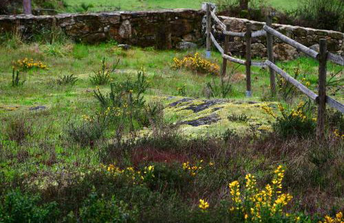 Casinha Rubiães - Photo 17