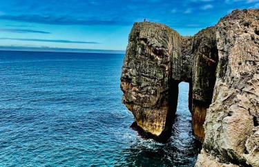 Los Paxarinos - Foto 33