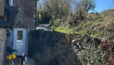 Cute Cornish Cottage - Foto 2, Garden