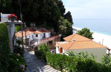 Ammos papanero - Foto 33