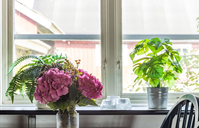 2 bedroom House in Siretorp with garden - Photo 14