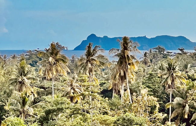 DnG Mansions - Foto 15