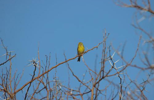 Vista Baglio Grande - Foto 37
