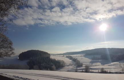 Ferienwohnung Flöhatalblick - Foto 44