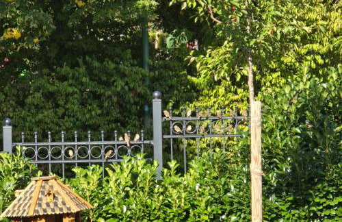 Exklusive Ferienwohnung Bad Salzschlirf - direkt am Waldrand - großer Garten kompett umzäunt - Hunde willkommen - 2 private Stellplätze - Foto 52