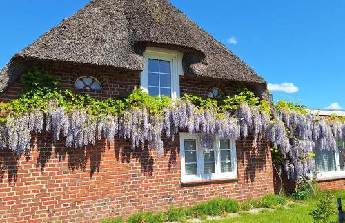 Ferienwohnung Unter Reet - Foto 10