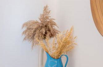 Lipsi Sands - Foto 64