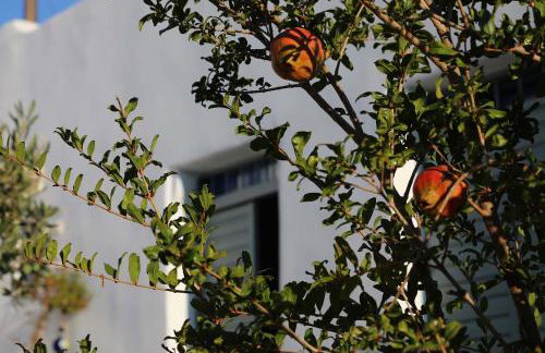 Mezzo Lovero Suites Kimolos - Foto 15