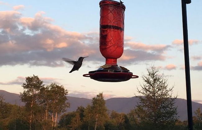 Moose Lodge and Cabins by Bretton Woods Vacations - Foto 78