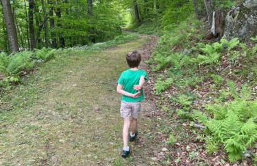 SunBear AC Pool Game Room Fireplace Hiking - Foto 40