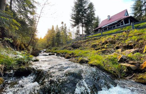 Piwniczna 187 - Vintage House - Foto 3