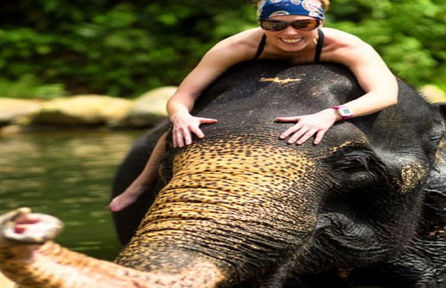 Half Day Elephant Bathing welfare center from Phuket - Foto 7