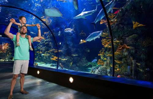 The Q Loft Galveston - Foto 43