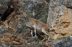 Alojamiento Rural El Peñon de Hornos - Foto 32