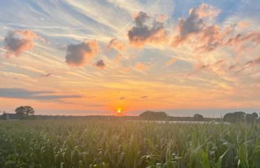 Q80 Appartement - Foto 39