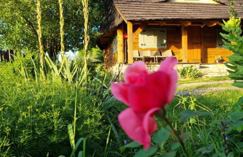 Jabłoniowy Sad Kalwaria Pacławska - Foto 56