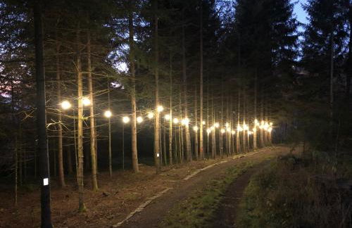 Chalet du Fayard - jacuzzi avec vue et détente en pleine nature - Foto 13