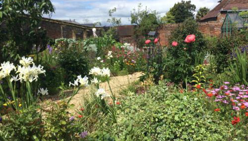 STACK YARD COTTAGE. - Photo 3, Garden