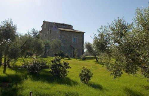 Tenuta La Tabaccaia - Foto 52