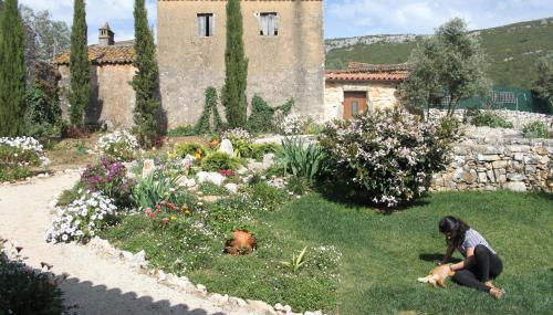 Quinta de São João - Photo 5, Garden