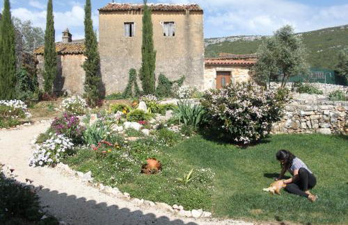 Quinta de São João - Foto 10