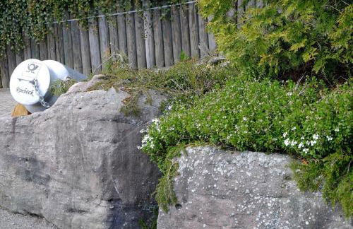 SchwarzWild - Ferienwohnung und Ferienzimmer - Foto 72