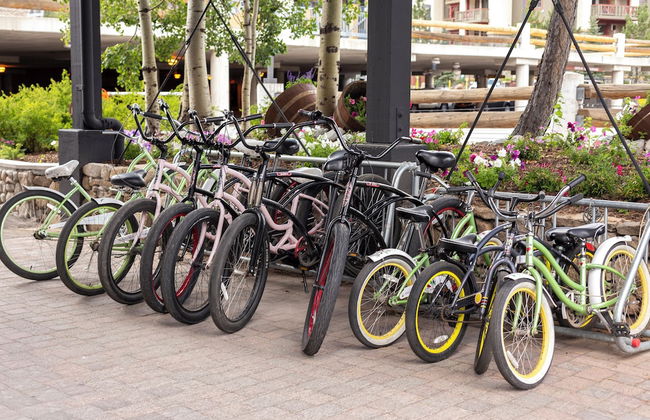 Red Wolf Lodge at Olympic Valley - Foto 74