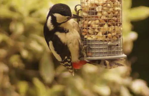 Holiday Home Idyllisches-haustierfreundliches Landhaus Lavender by Interhome - Photo 24