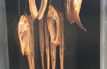 Ferienwohnung mit Terrasse - Insel Usedom - Foto 26