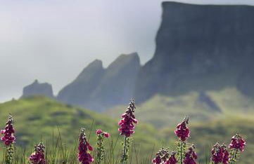 Storr Apartments - Foto 64