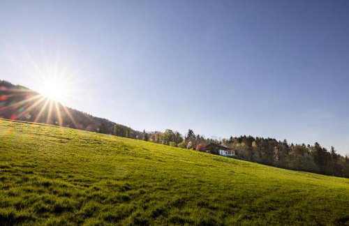 Haus Vogl Anger - Ferienwohnungen mit privater Sauna und beheizten Salzwasser Pool in Panoramalage und Nähe zu Salzburg und Berchtesgaden - Foto 20