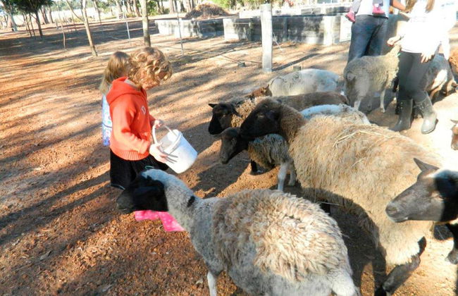 Margaret River Hideaway - Foto 44