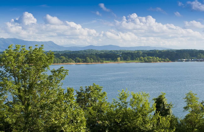 Sunrise Cove by Jackson Mountain Rentals - Foto 3