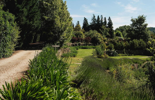 Casa Agrícola da Levada Eco Village - Foto 56