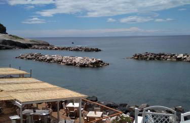 La casa Viola - Foto 18